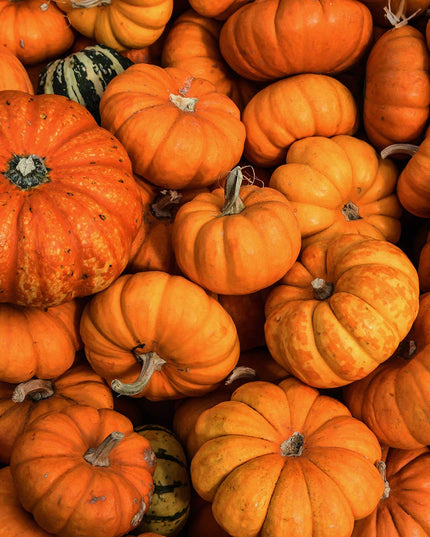 14 oz Milkbottle Candle: Hey, Pumpkin!
