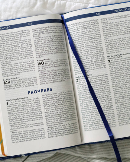 The Kids' Bedtime Devotional Bible: NLV [Cobalt Cosmos]