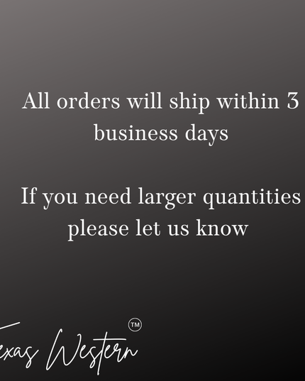 Gold or Silver Horseshoe Necklace with Faux Diamonds