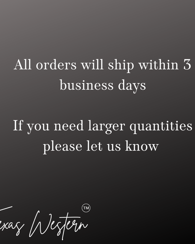 Gold or Silver Horseshoe Necklace with Faux Diamonds