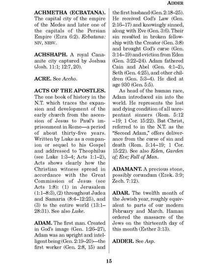 Pocket Bible Dictionary