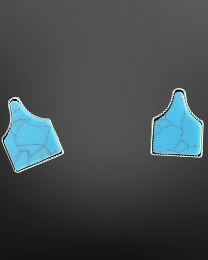 Faux Turquoise Cow Tag Earrings