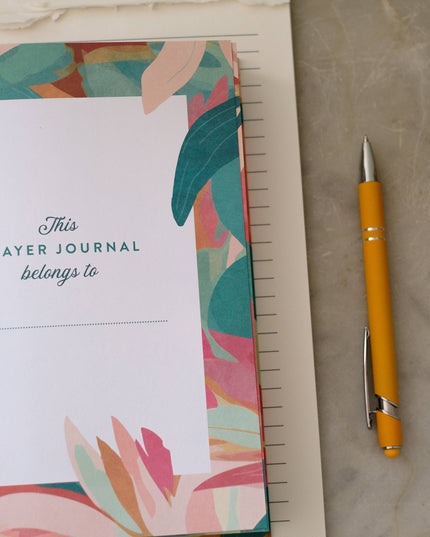A Year of God's Goodness:A Prayer & Praise Tracker for Women